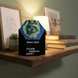 Hexa 3D trophée